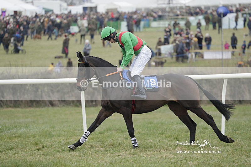 PtP 040323 300 - Duke of Beauforts Hunt Point-to-Point Didmarton 04/03/23