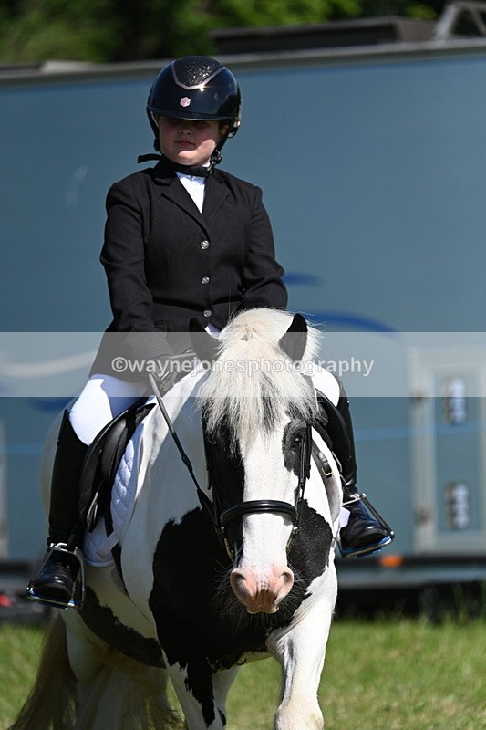 WJ7_0705 - Class 8 First Rally Pony