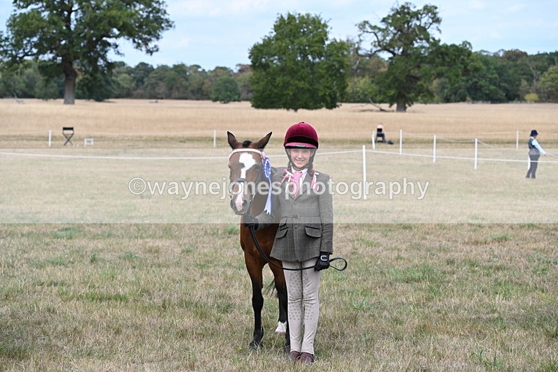 WJ6_6279 - Class 19 In-hand Veterans (Uploaded correct folder)