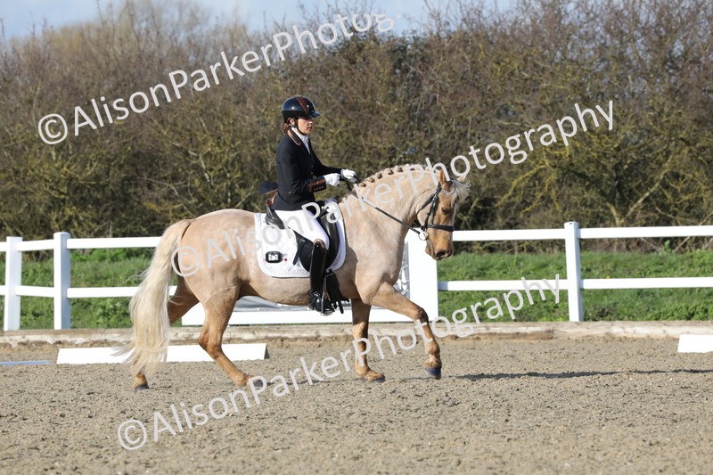 20260314-5810 - DR 7 - Elementary 1