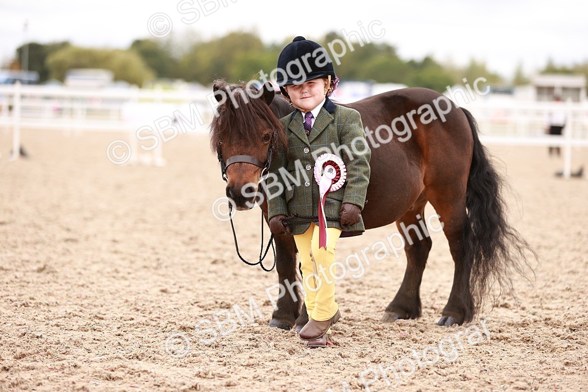 SBM_18616 - Class 421 - Childs Best Friend - Jnr