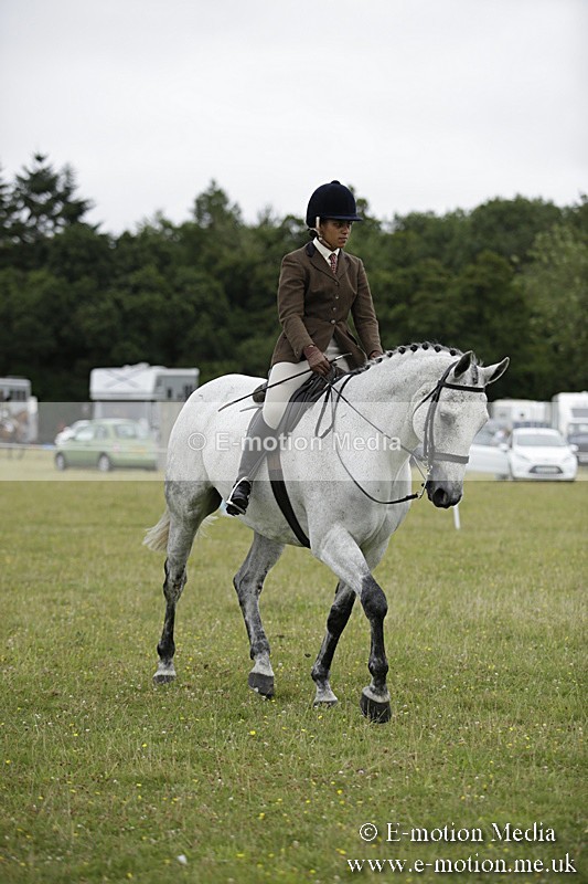 BVR160717-1022 - Ring 1 BVRC Show 16/07/17