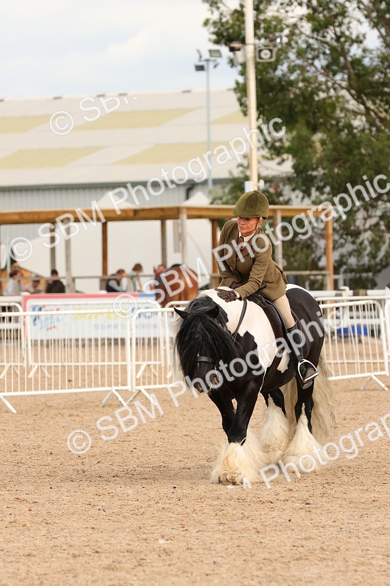 SBM_15706 - Class 215 - Ridden Traditional - Native Cobs
