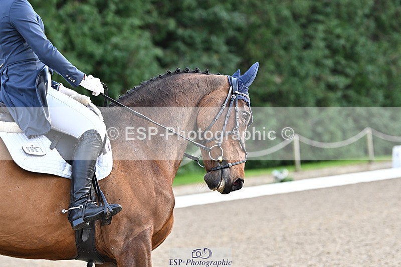 241023-151614-00723 - 008-Charlie.Piper-ZADOK.D