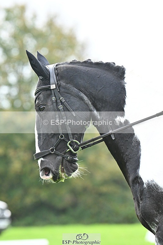 241024-101123-02119 - 303-Beatrice.Southcombe-COUSIN.JERRY