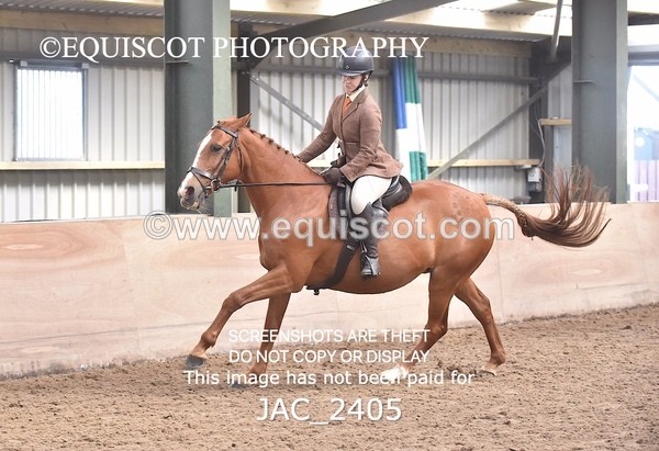 JAC_2405 - CLASS 3 Intermediate Working Hunter