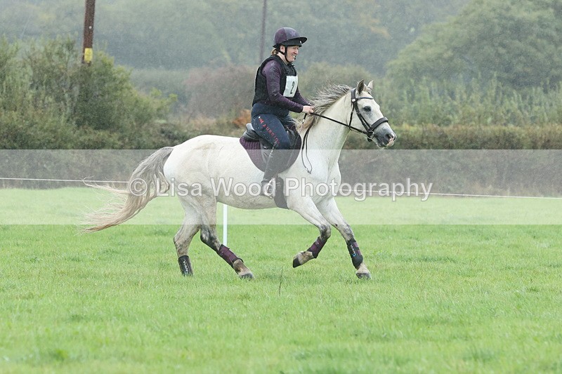 JPP_5119 - Class 1: 65cm : Showjumping