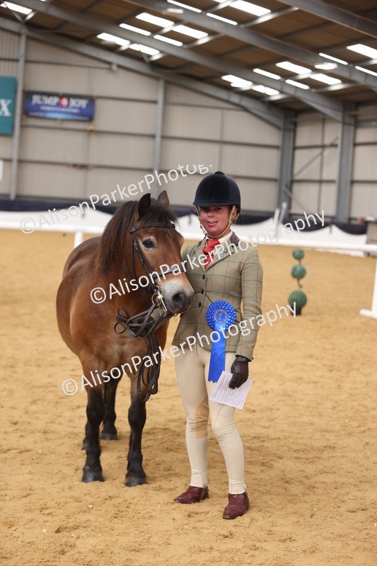 20260913-1733 - Class 115 - Gelding 4years and over