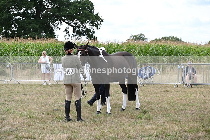 WJ6_6205 - Class 19 In-hand Veterans (Uploaded correct folder)