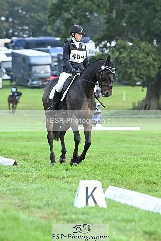 231020-094547-05756 - 464-IMPERIAL.TANGLE-Deborah.Burrell-DR