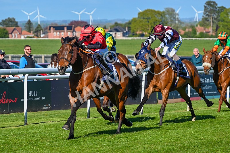 230426-Race 7-Sunny Orange-5522 - Race 7
