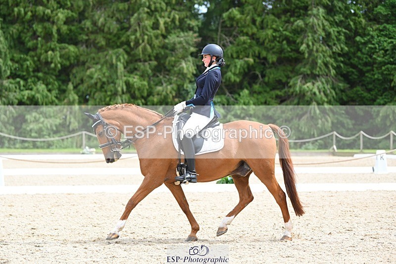 230813-133603-07604 - Cls 13 Medium Bronze 13.15 to End