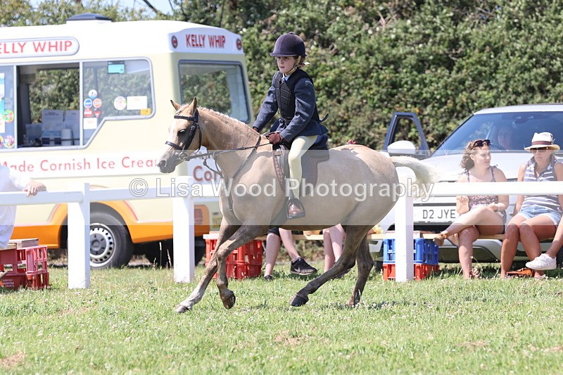 JPP_2317 - Class 20: Tiny Tots Working Hunter Pony