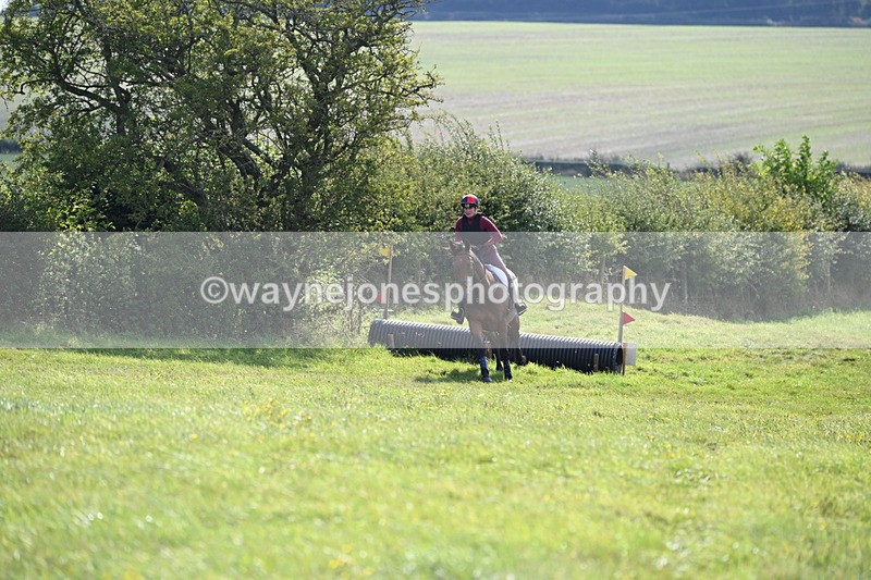 WJ6_7113 - Time 10:52 to 11:10