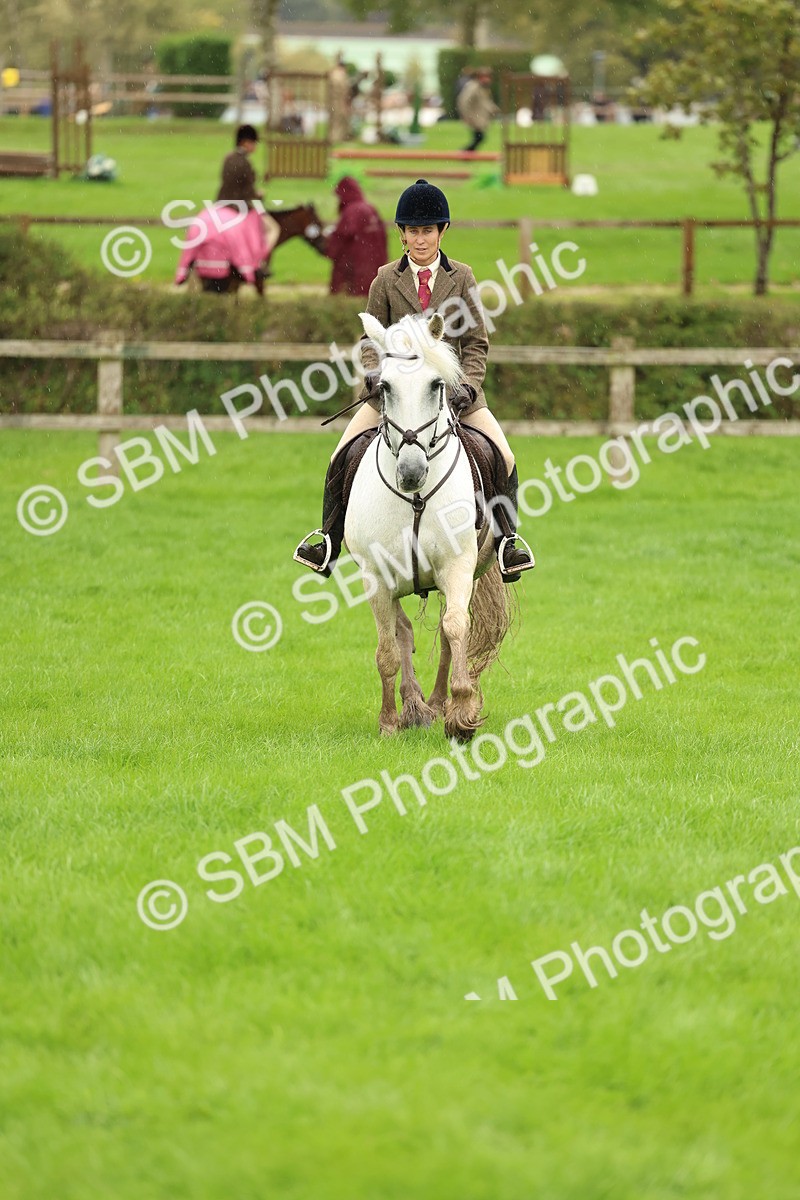 1I0A1467 - S32 - Mountain & Moorland Working Hunter Pony