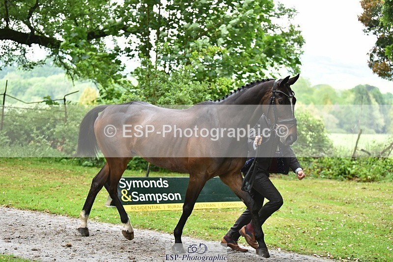 240522-170256-01348 - 234-MATTERHORN_RISING-Tom_Rowland