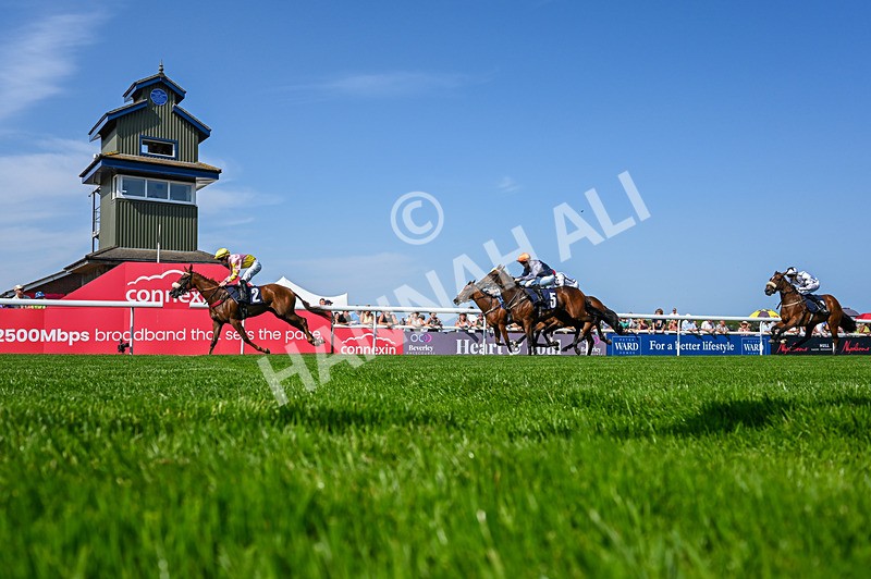130826-Race 3-State Of Gold-5285 - Race 3 15.15pm Hornsea Ladies At The Races Nursery Handicap