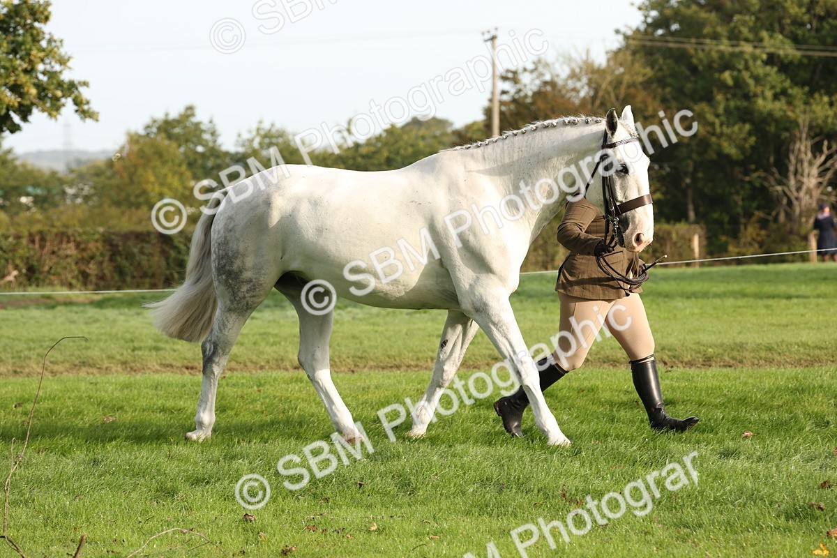 SBM_54679 - S53 - Hunter In Hand