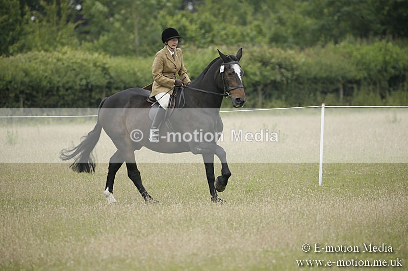 B230619-0298 - Bourne Valley Riding Club Summer Show 23/06/19