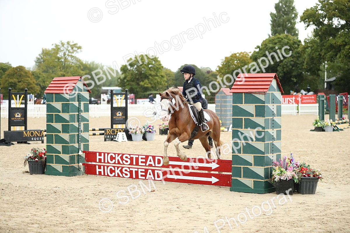 SBM_34526 - J60 Clear Round 50cm