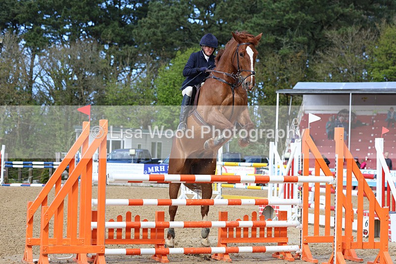 3E7A2099 - Class 8: Senior Foxhunter/1.20 open
