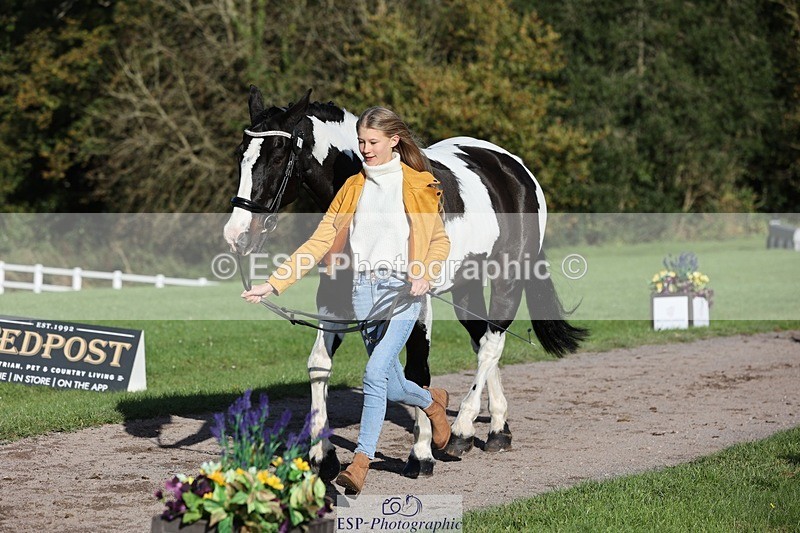 241027-095535-15587 - 387-Kelly.Knockaert-PIPER.II