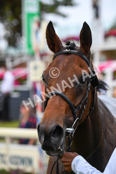 100923-Race 3-Yorkindness-0709 - Race 3 2.45pm Fine Details Vehicle Valeting Handicap