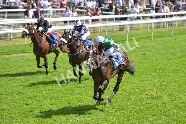 yr12062021r3-4 - Race 3 3.05pm Sky Bet Race to the Ebor Grand Cup