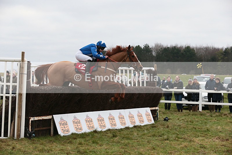 PtP 060119 130 - Larkhill Racing Club - Point-to-Point- 06/01/2019