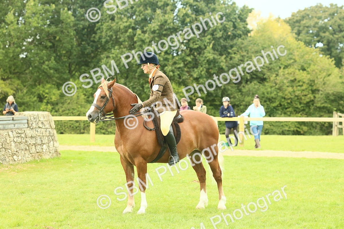 SBM_71971 - S60 - Mountain & Moorland Ridden Large Breeds