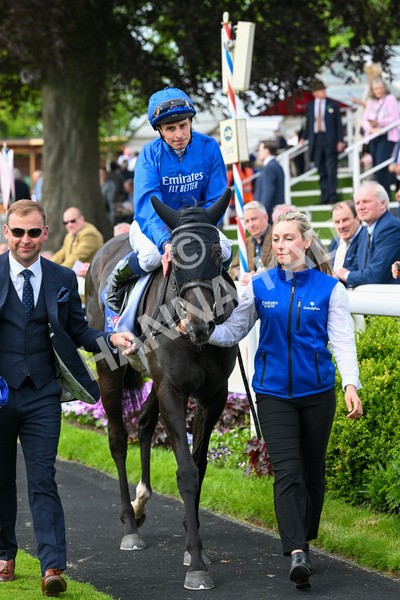 170524-Race 3-Devoted Queen-7936 - Race 3 3.15pm Sky Bet Fillies' Stakes (Registered As The Michael Seely Memorial Fillies' Stakes)
