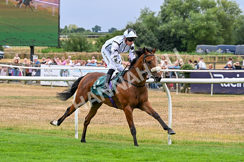170826-Race 2-Harrys Pop-9187 - Race 2 14.45pm Well-Earned Retirement Neal Kidd Nursery Handicap