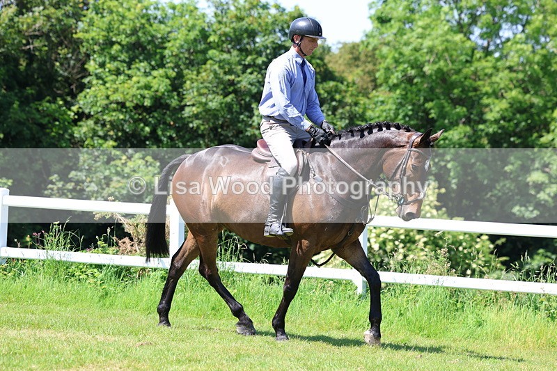 3E7A7174 - Class 30: Novice Working Hunter