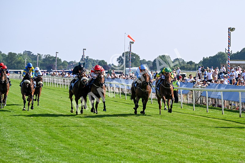 100726-Race 6-Ziggys Triton-0666 - Race 6 17.05pm William Hill Keep Your Raceday Positive Handicap