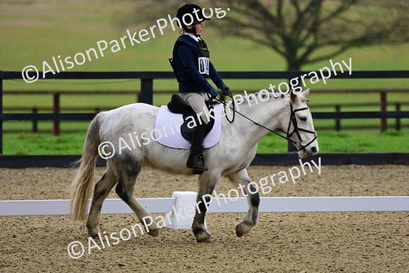 20260125-0520 - Class 9b - Walk Trot Unassisted