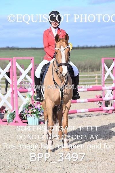BPP_3497 - CLASS 4 Senior British Novice/ 90cm Open