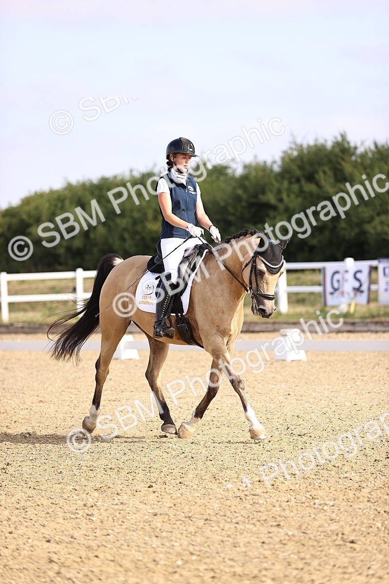 SBM_008528 - Novice 5 - 08.30-9.33