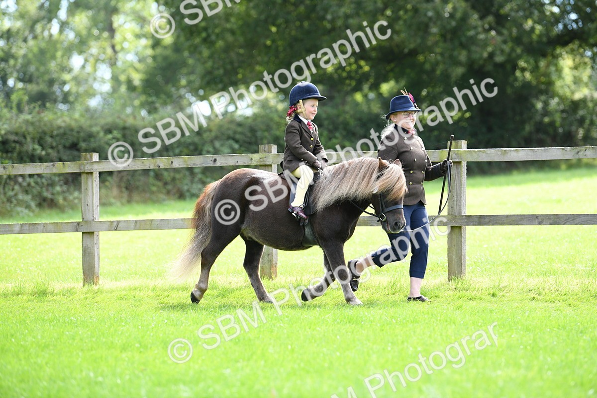 SBM_42505 - S20 - Lead Rein Mountain & Moorland Pony