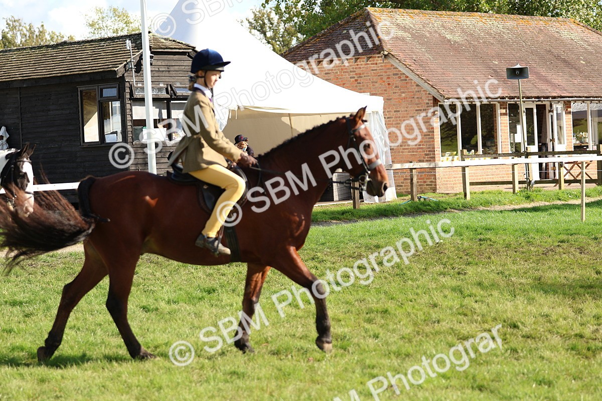 SBM_52328 - S13 - Pony Club Pony