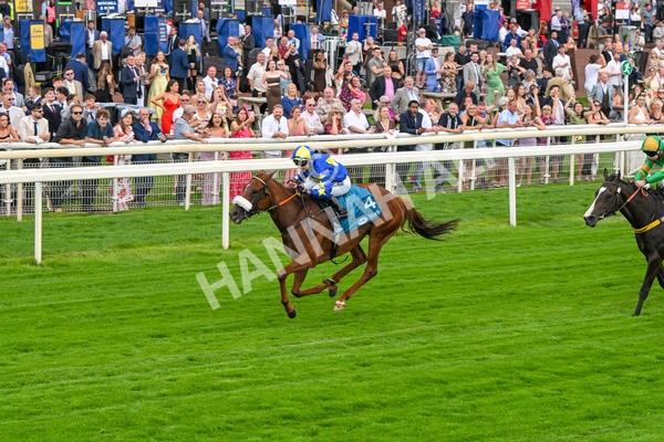 250725-Race 2-Rock N Roll Pinkie-5485 - Race 2 6.03pm Elevator Company Handicap