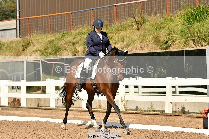 250817-155501-11388 - 211-Carey.CollettRubin's.Fanfare