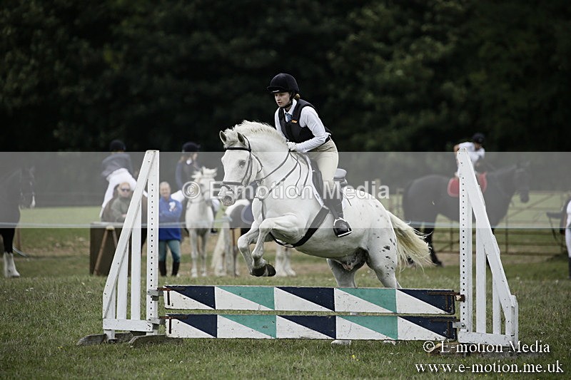 BVR080918 391 - BVRC Novice Dressage & CR 08/09/18