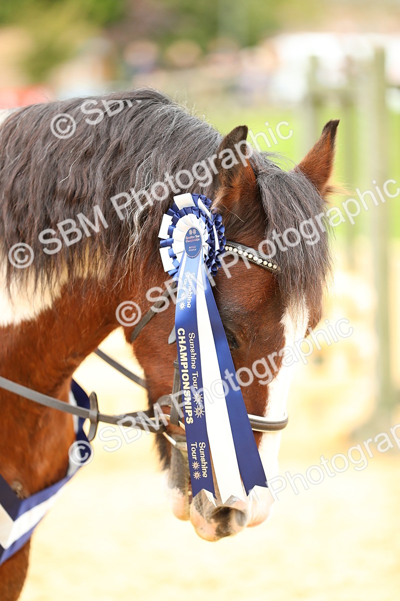 SBM_72799 - Supreme Championship - PM