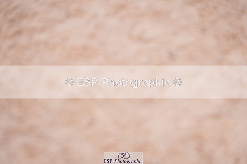 240505A-170758-07298 - Cls 24 Springboard 128cm & 138cm
