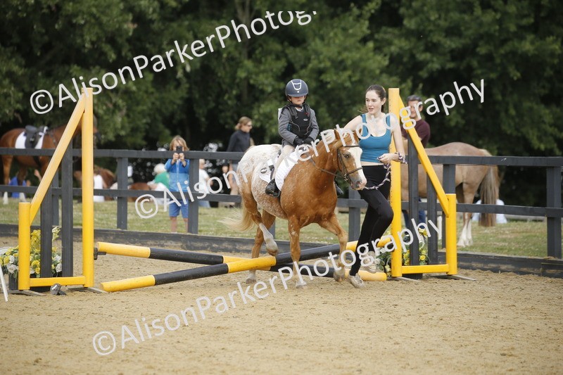 20250622-1319 - 40cm