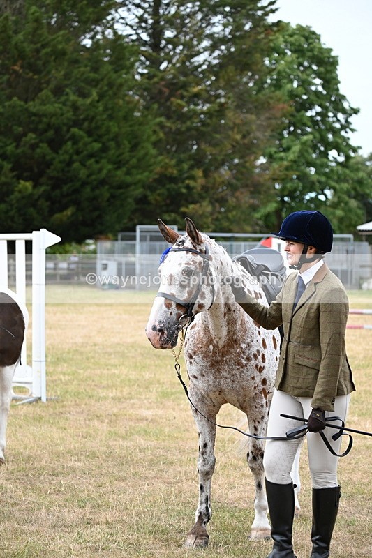 WJ6_3994 - Class 9 Tack & Turnout