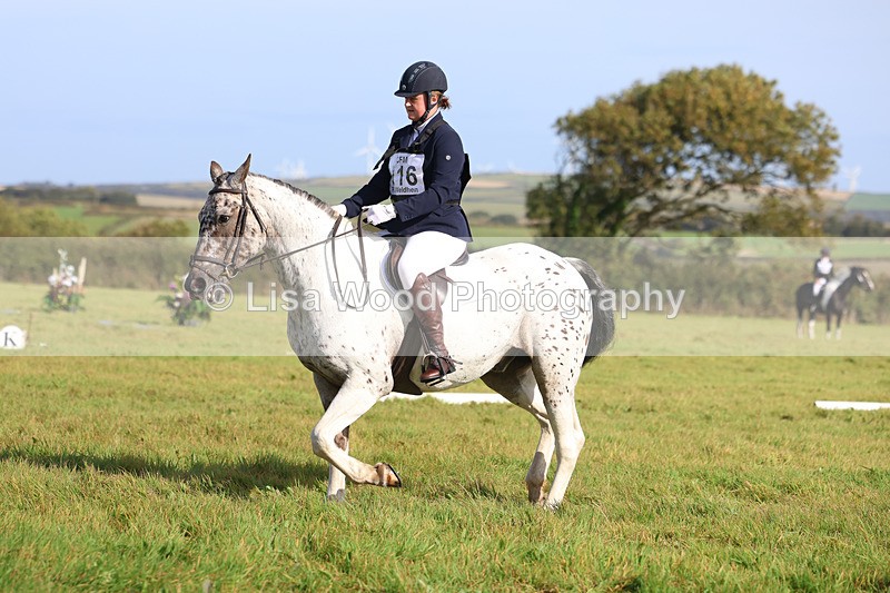 3E7A6011 - Class 1: Trebudannon Open: Dressage (Part 2)