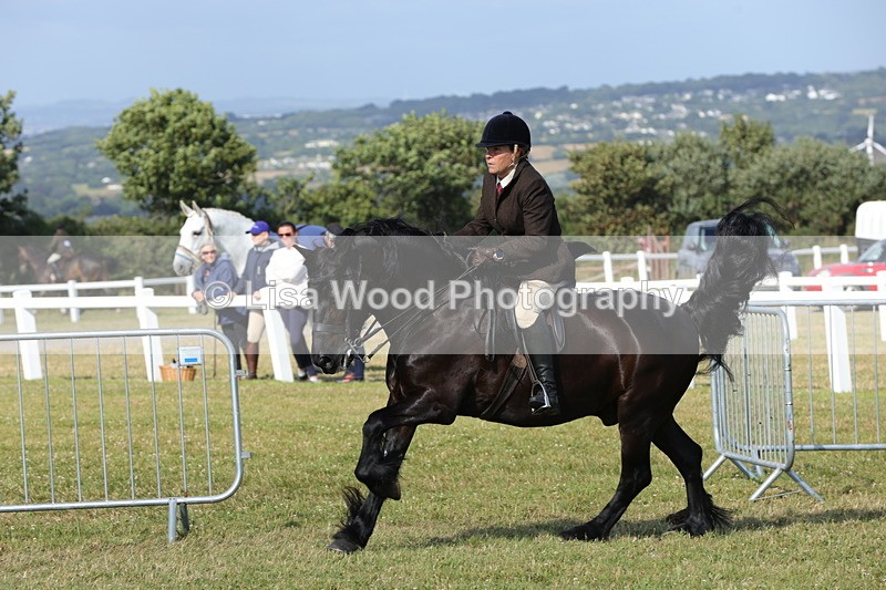 1X9A5997 - Class 42: NPS Dales, Fell, Highland
