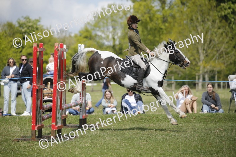 20250427-3600 - Class 14 - Absolute Novice 70cm