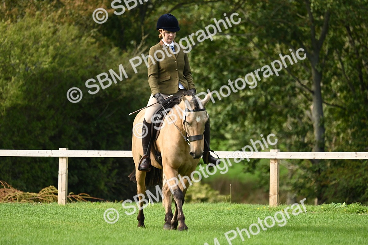 SBM_26388 - S6 - Novice & newcomer Ridden horse